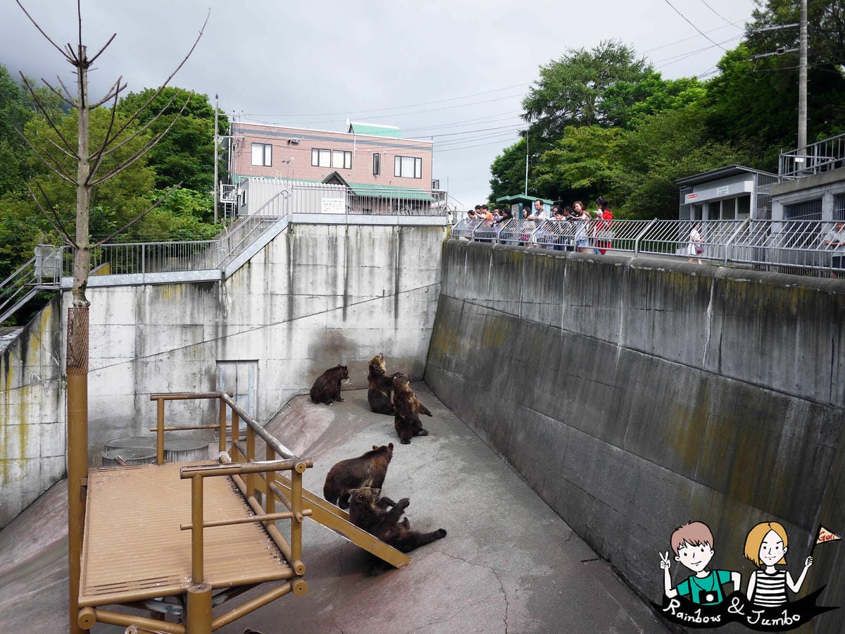 2015日本北海道之旅｜虐心!!昭和新山熊牧場(洞爺熊牧場)