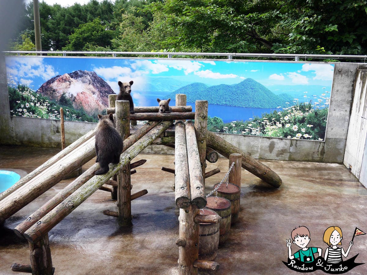 2015日本北海道之旅｜虐心!!昭和新山熊牧場(洞爺熊牧場)