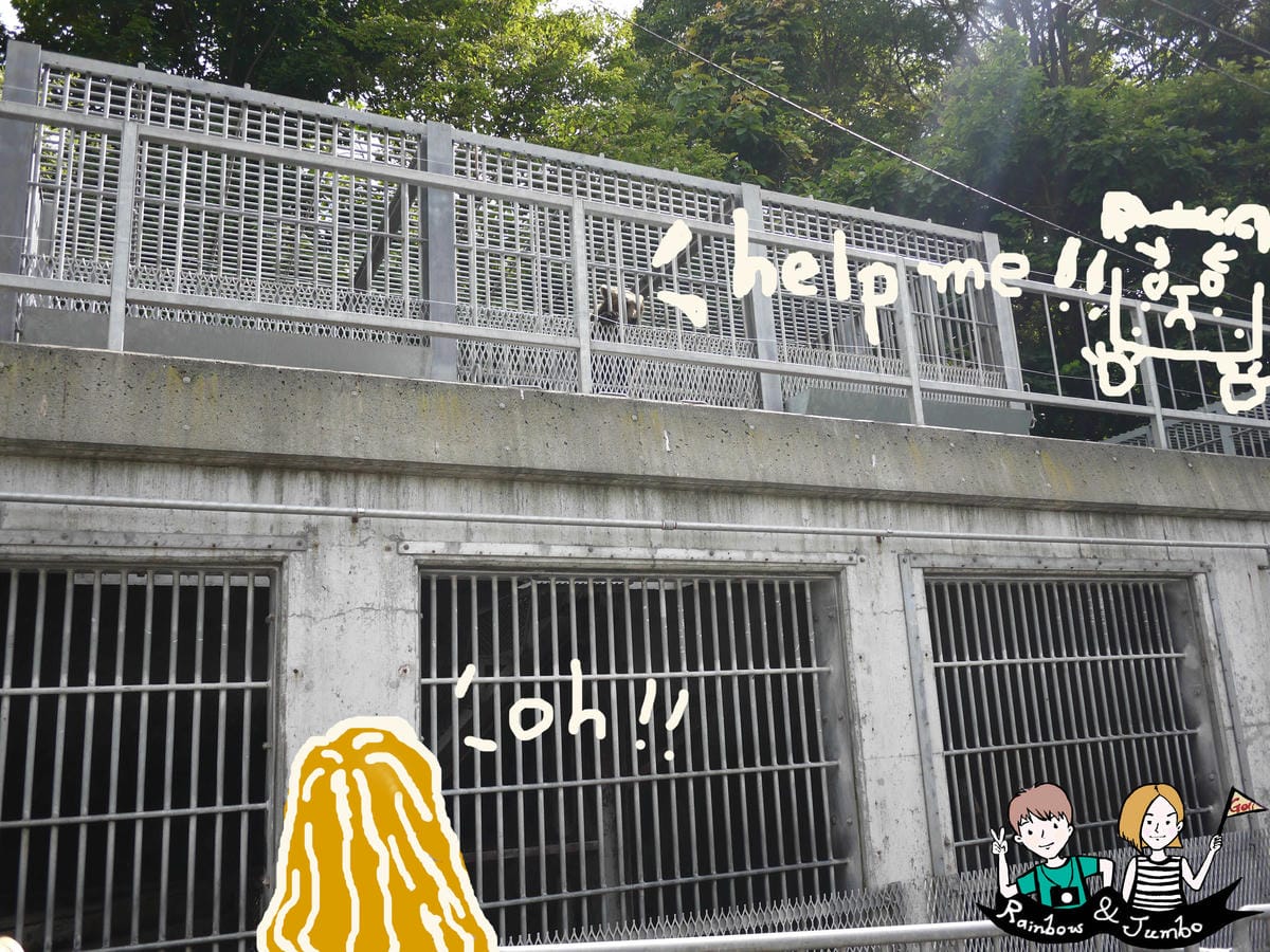 2015日本北海道之旅｜虐心!!昭和新山熊牧場(洞爺熊牧場)