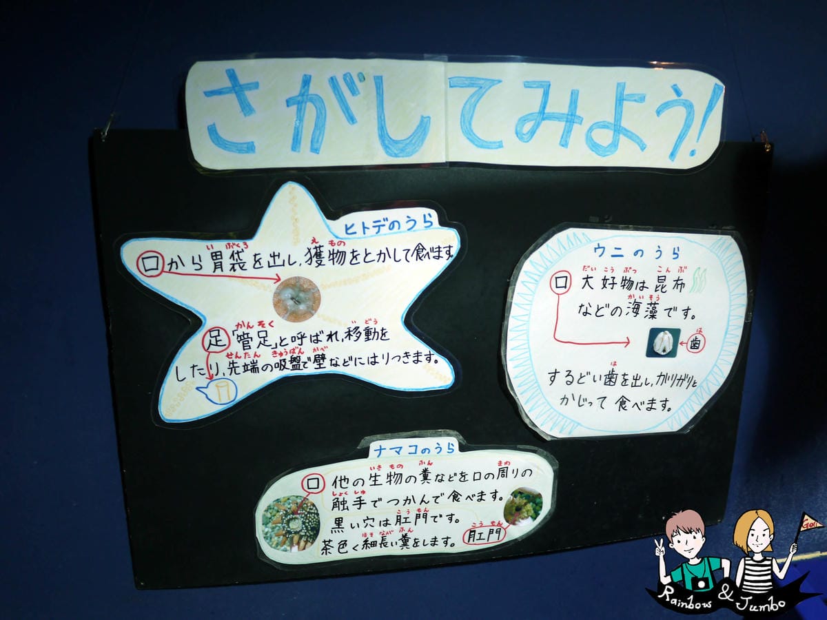 登別尼克斯海洋公園 登別尼克斯海洋公園