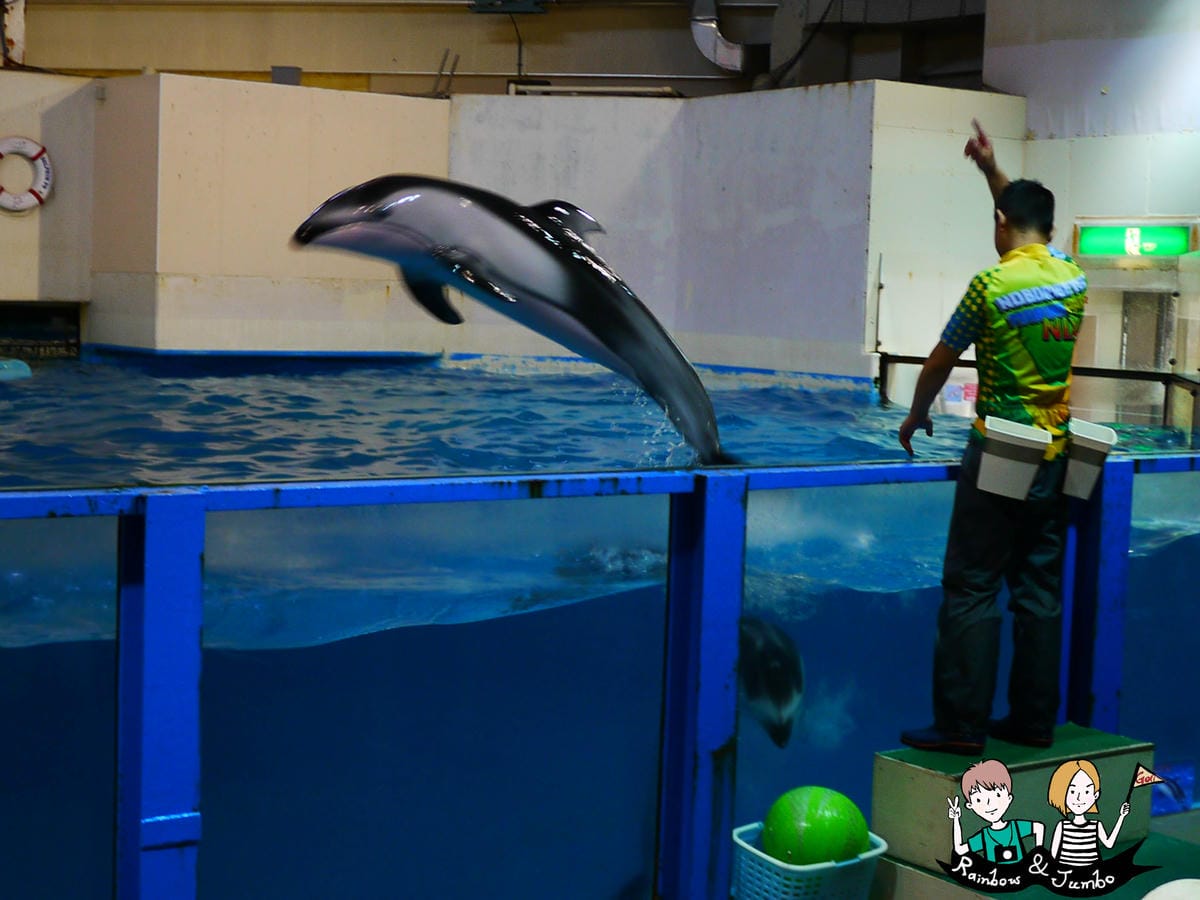 2015日本北海道之旅|兒童天堂!!登別尼克斯海洋公園,看逛 P1080812.jpg