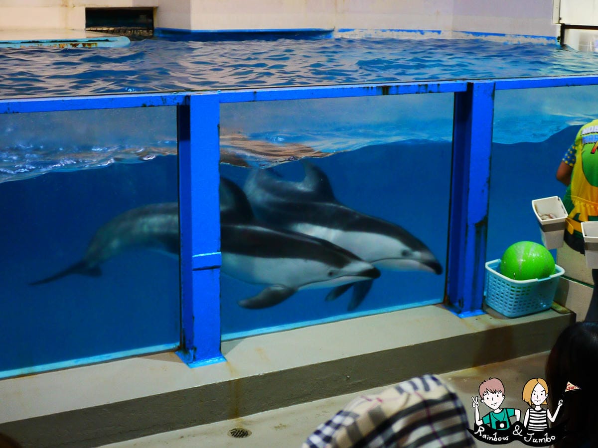 2015日本北海道之旅|兒童天堂!!登別尼克斯海洋公園,看逛 P1080811.jpg