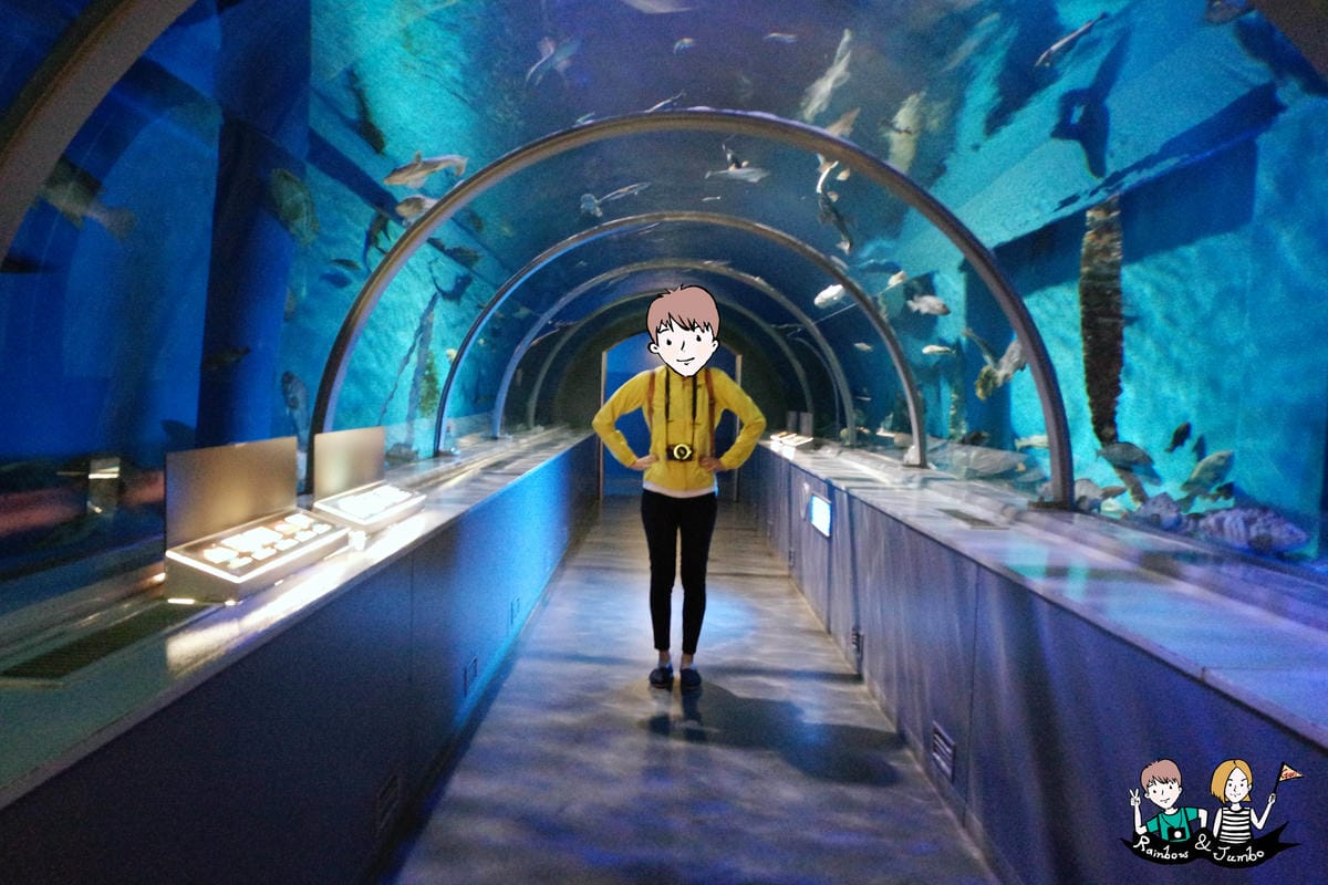 2015日本北海道之旅|兒童天堂!!登別尼克斯海洋公園,看逛 2015日本北海道之旅|兒童天堂!!登別尼克斯海洋公園,看逛