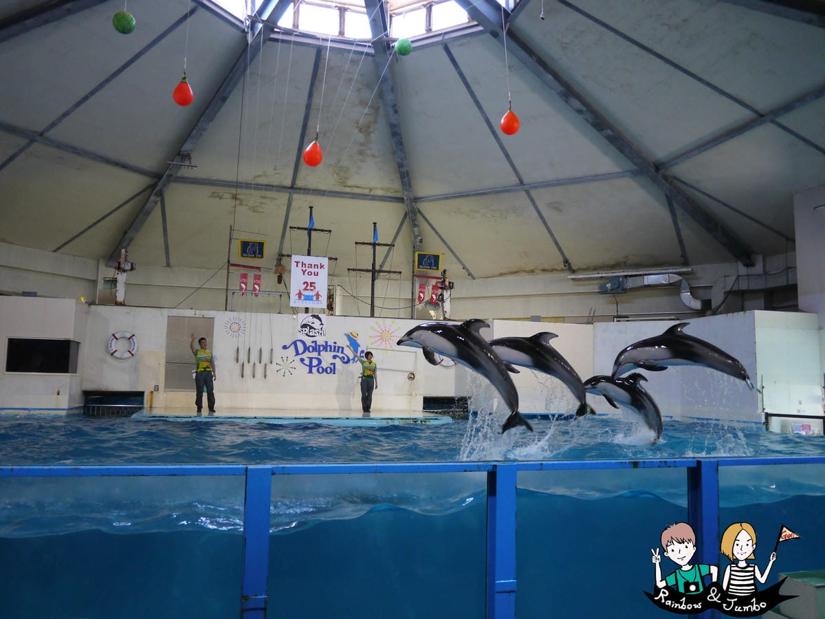 2015日本北海道之旅|兒童天堂!!登別尼克斯海洋公園,看逛 P1080818.jpg