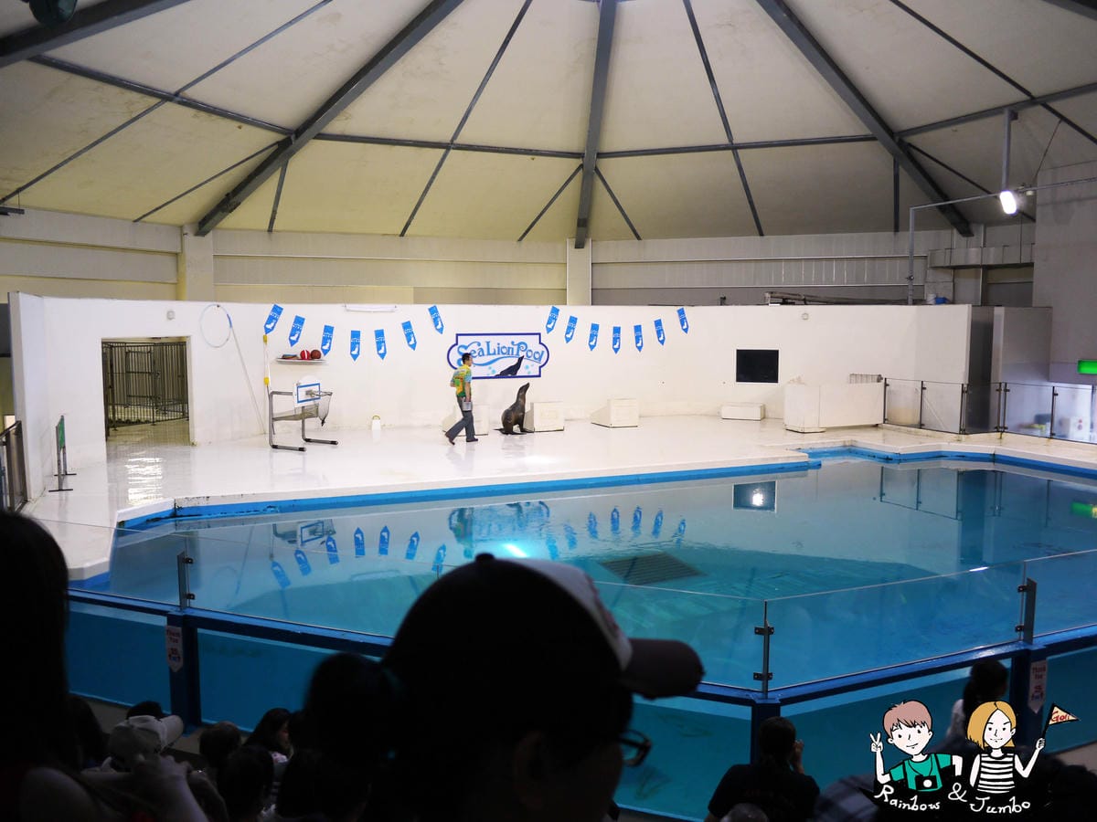 2015日本北海道之旅|兒童天堂!!登別尼克斯海洋公園,看逛 2015日本北海道之旅|兒童天堂!!登別尼克斯海洋公園,看逛