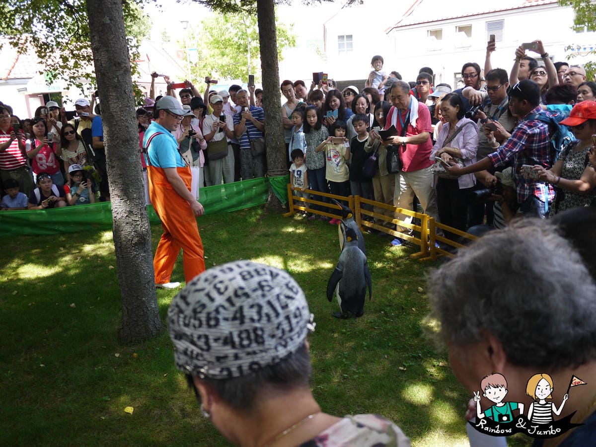 2015日本北海道之旅|兒童天堂!!登別尼克斯海洋公園,看逛 P1080798.jpg