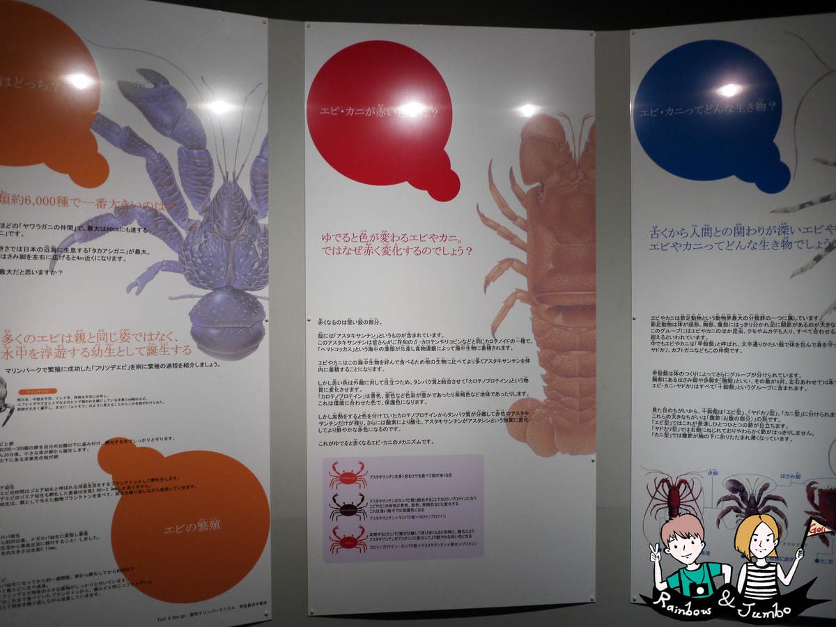 2015日本北海道之旅|兒童天堂!!登別尼克斯海洋公園,看逛 2015日本北海道之旅|兒童天堂!!登別尼克斯海洋公園,看逛