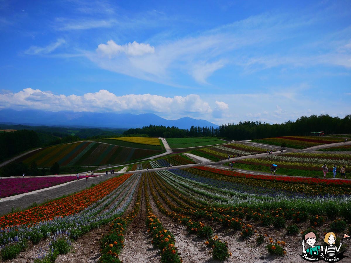 2015日本北海道之旅｜格蘭登飯店早餐&哈密瓜吃到飽&北海道