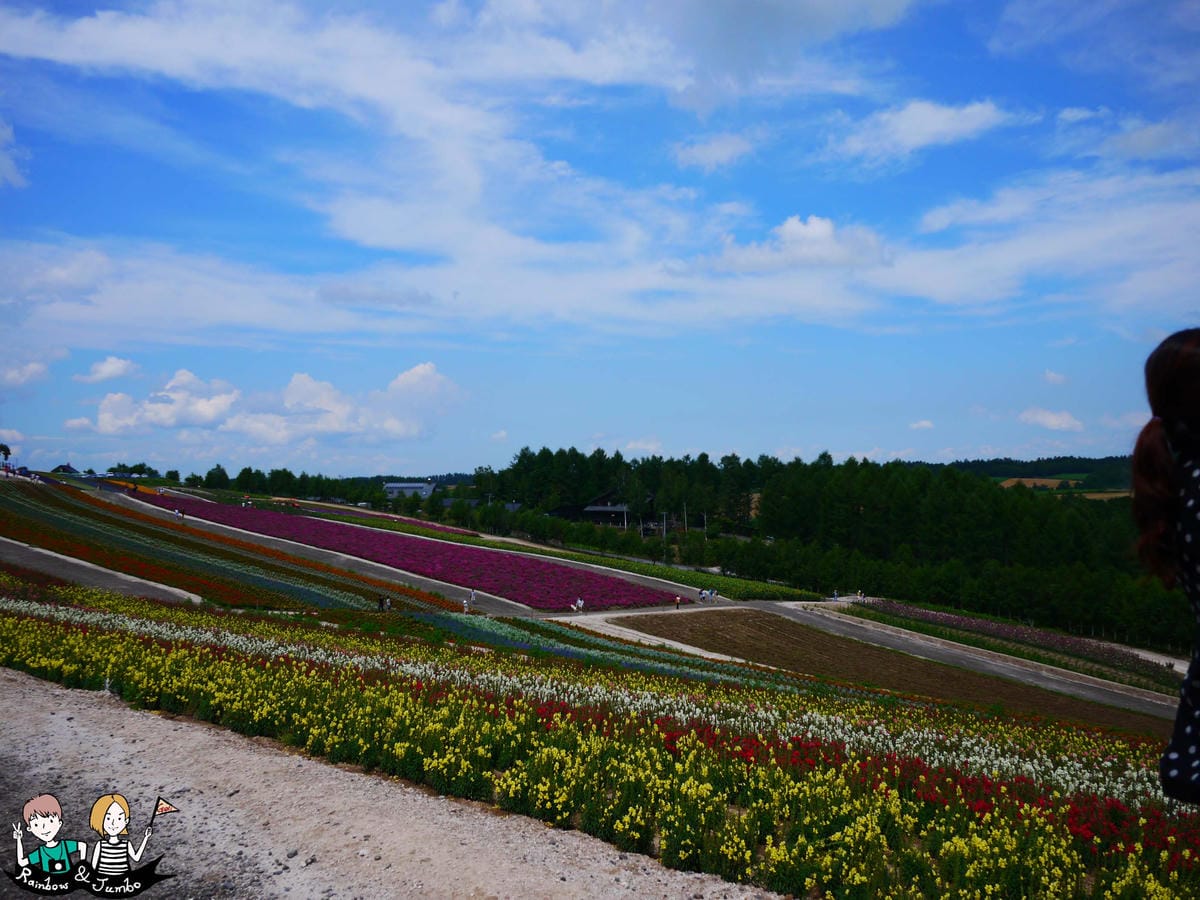 2015日本北海道之旅｜格蘭登飯店早餐&哈密瓜吃到飽&北海道
