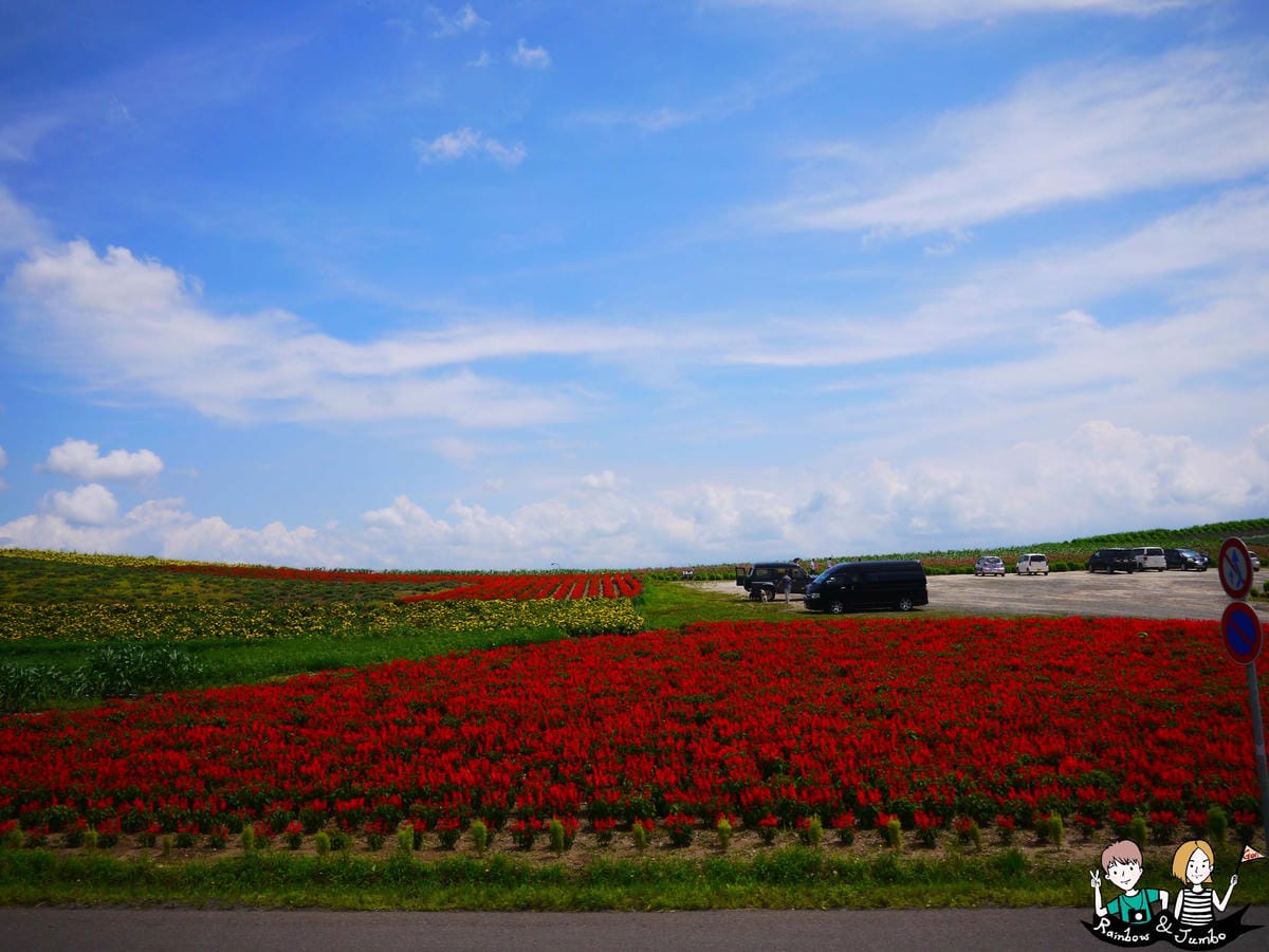 2015日本北海道之旅｜格蘭登飯店早餐&哈密瓜吃到飽&北海道