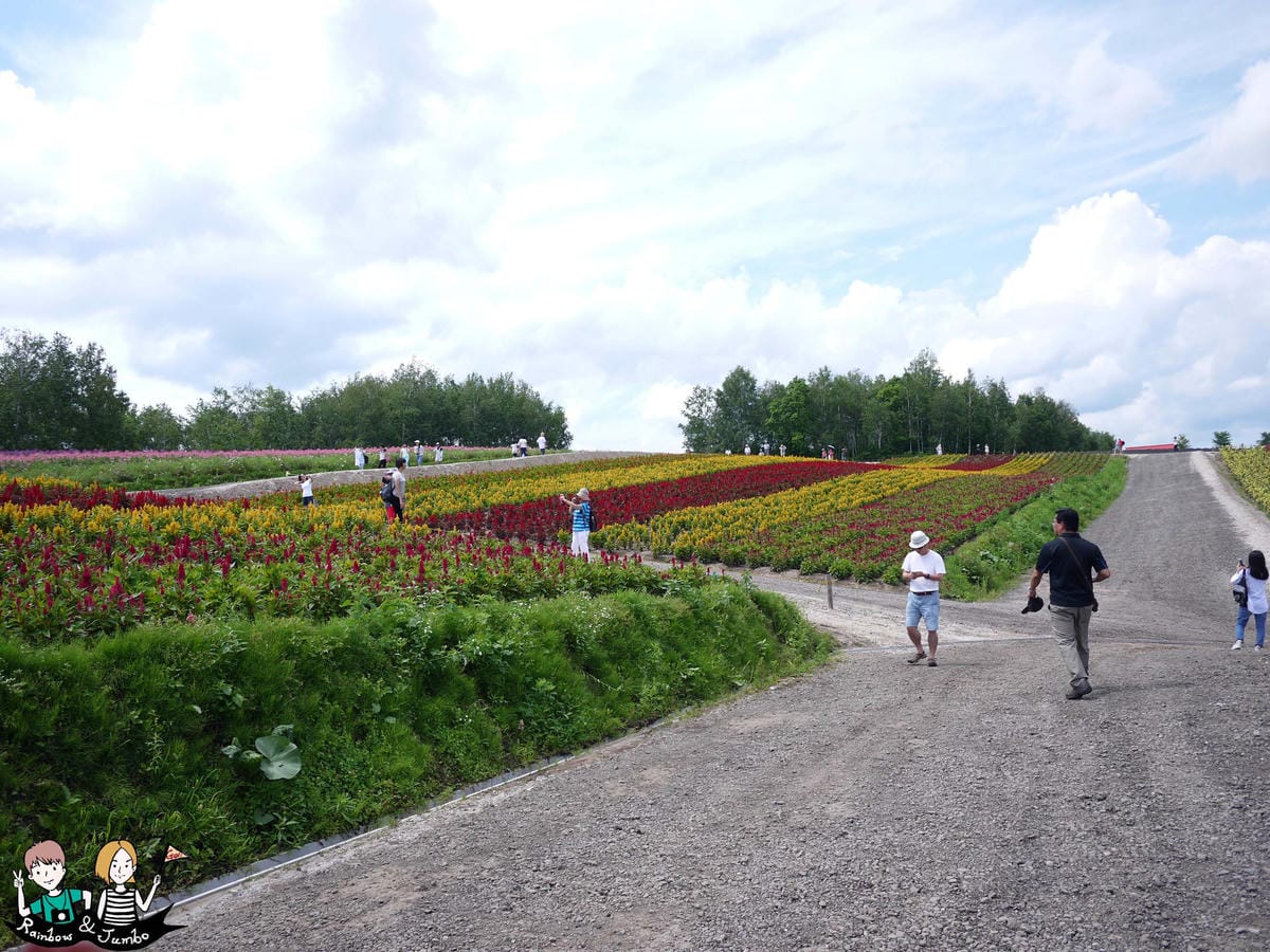 2015日本北海道之旅｜格蘭登飯店早餐&哈密瓜吃到飽&北海道