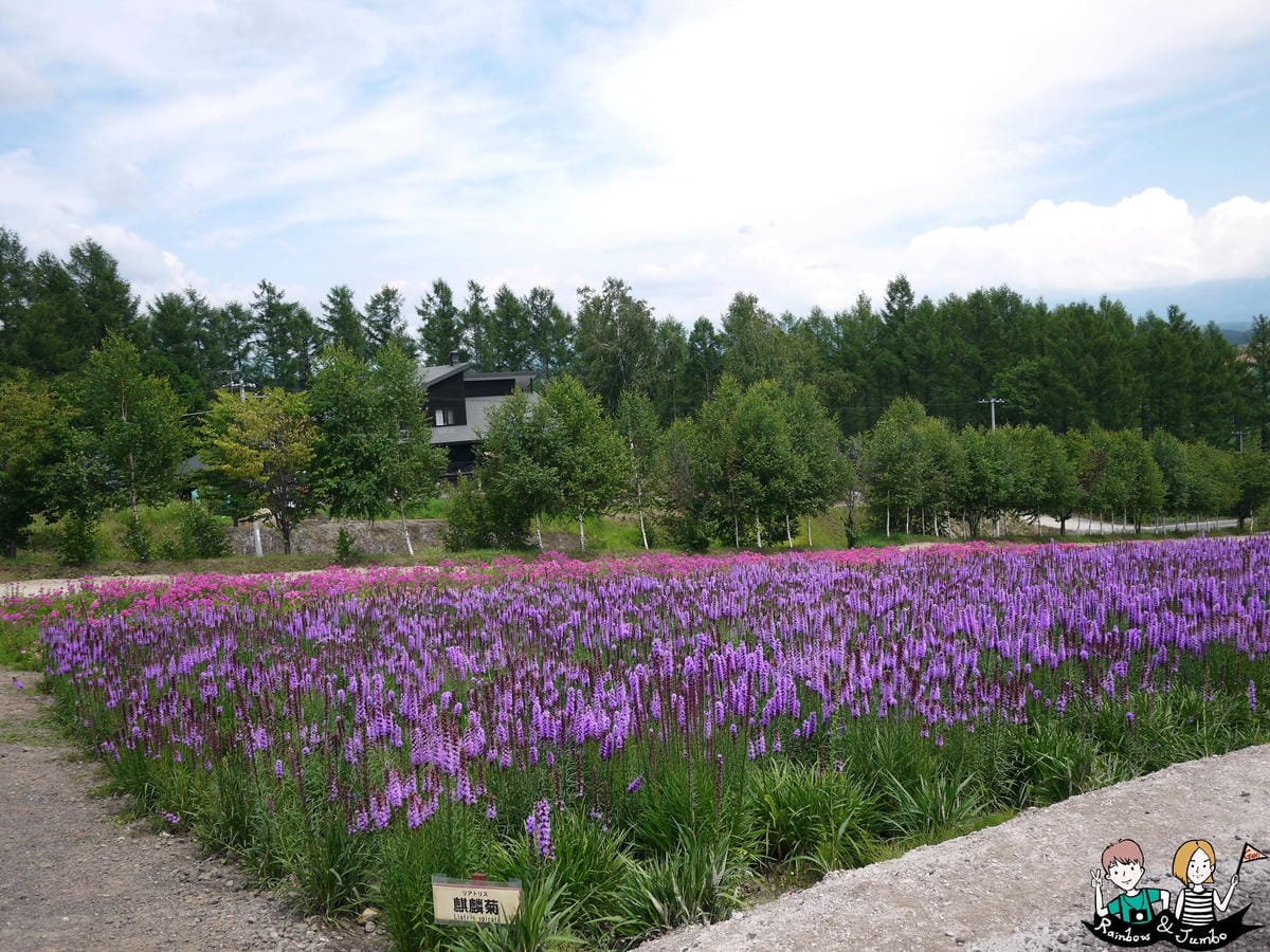2015日本北海道之旅｜格蘭登飯店早餐&哈密瓜吃到飽&北海道
