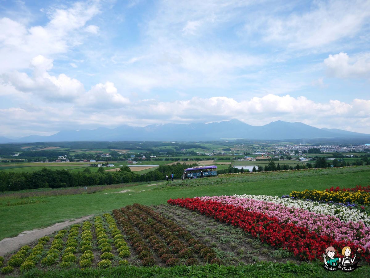 2015日本北海道之旅|手作薰衣草枕頭flower land 2015日本北海道之旅|手作薰衣草枕頭flower land