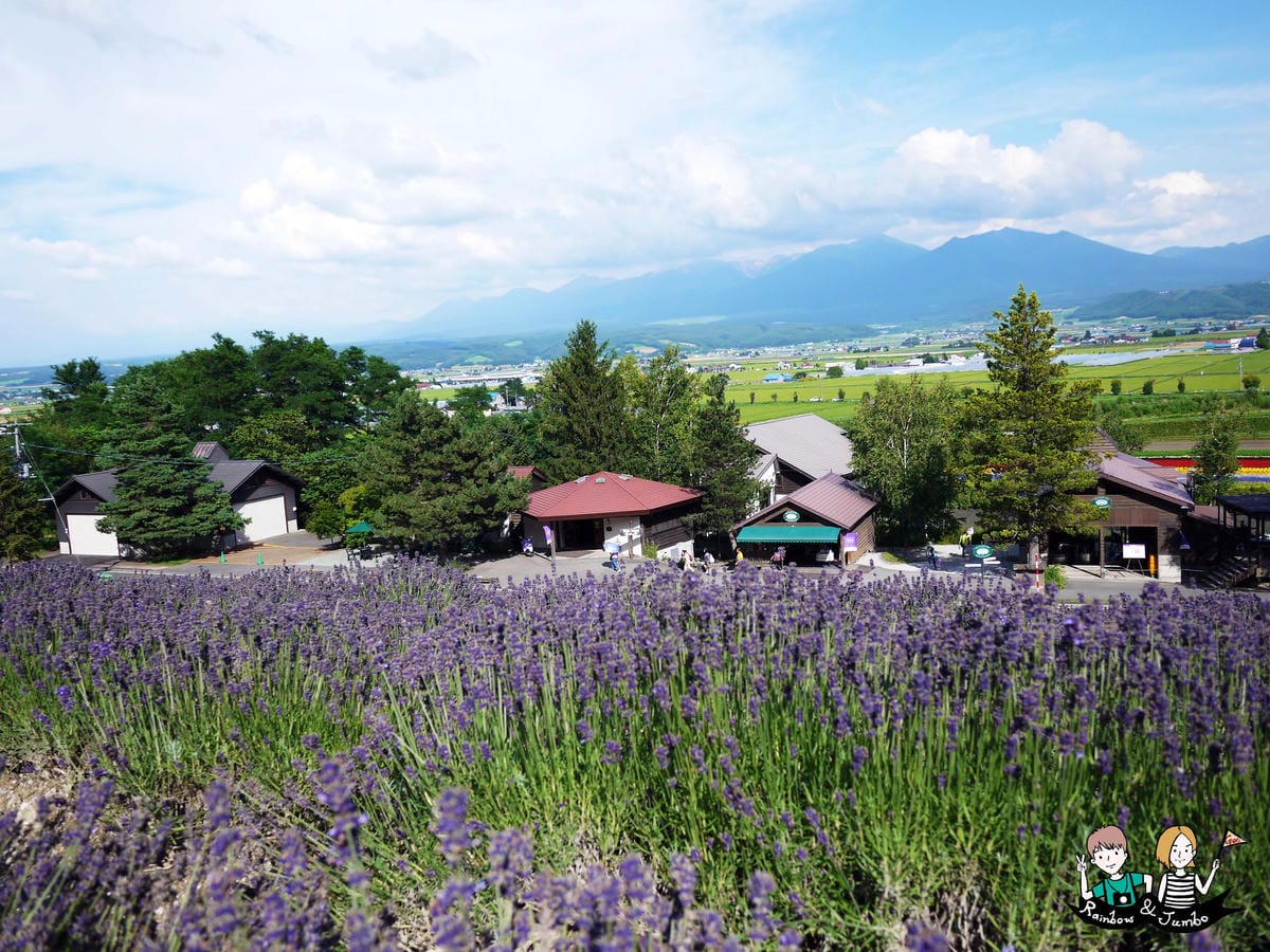 2015日本北海道之旅|富良野花田~薰衣草王國來啦|北海道富 2015日本北海道之旅|富良野花田~薰衣草王國來啦|北海道富