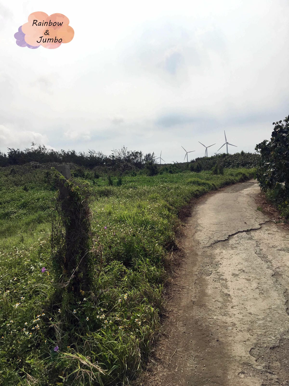 【桃園觀音|桃園景點】號稱台版撒哈拉沙漠的觀音草漯沙丘,臺灣 【桃園觀音|桃園景點】號稱台版撒哈拉沙漠的觀音草漯沙丘,臺灣
