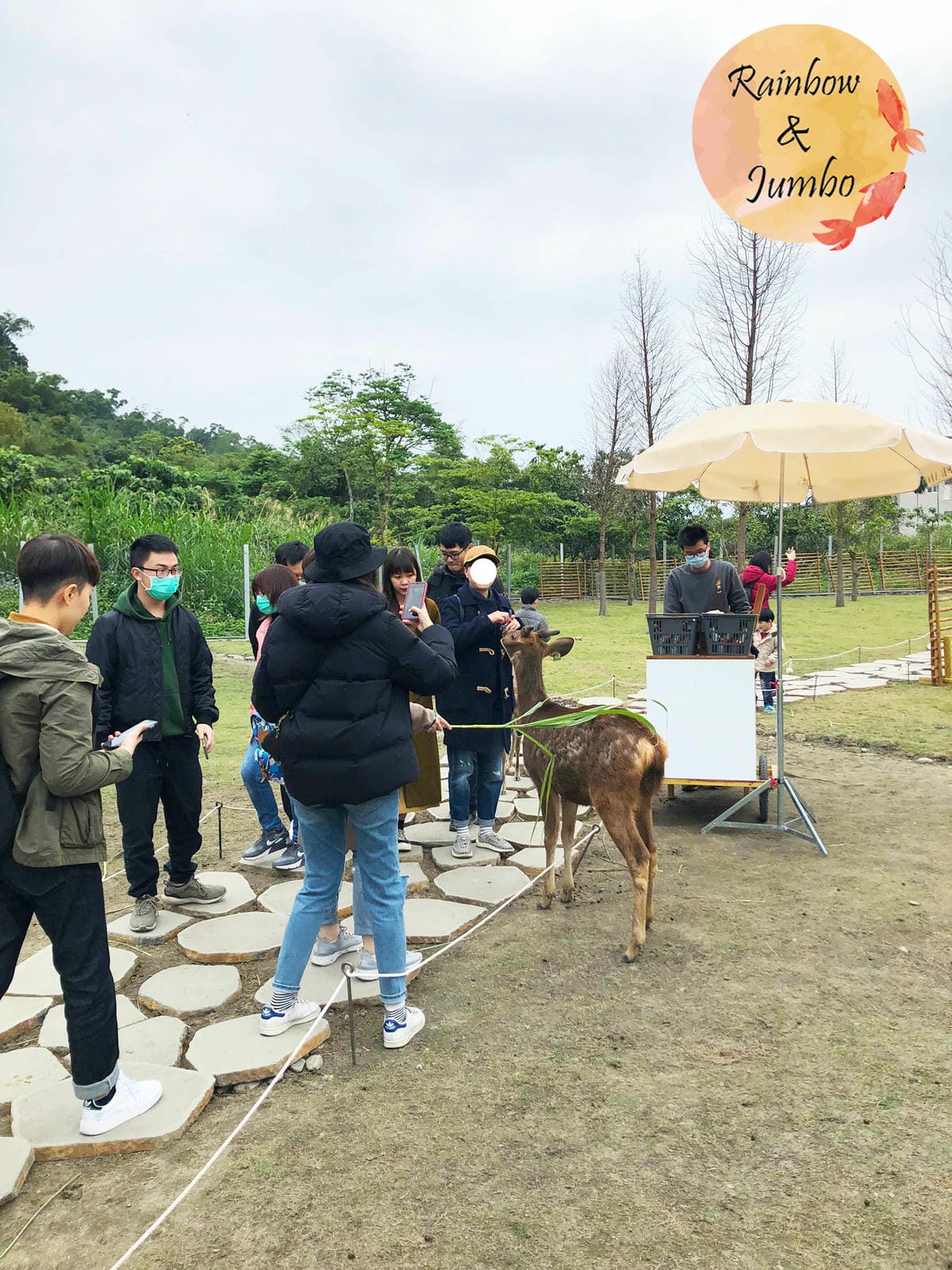 【宜蘭冬山|冬山景點】斑比山丘,號稱台版奈良,親近梅花鹿的好 【宜蘭冬山|冬山景點】斑比山丘,號稱台版奈良,親近梅花鹿的好