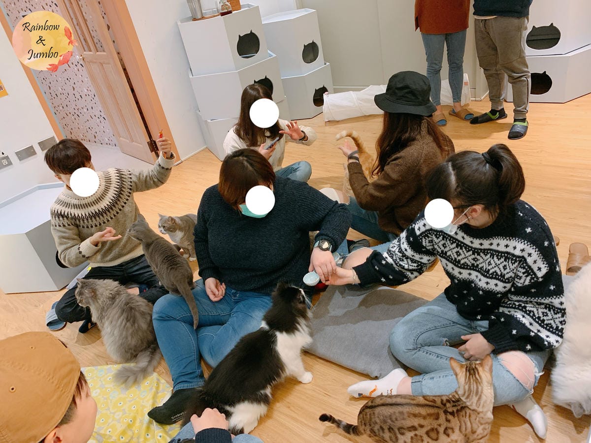【宜蘭羅東|羅東景點】貓的生活提案咖啡廳Cats' Day, 【宜蘭羅東|羅東景點】貓的生活提案咖啡廳Cats' Day,