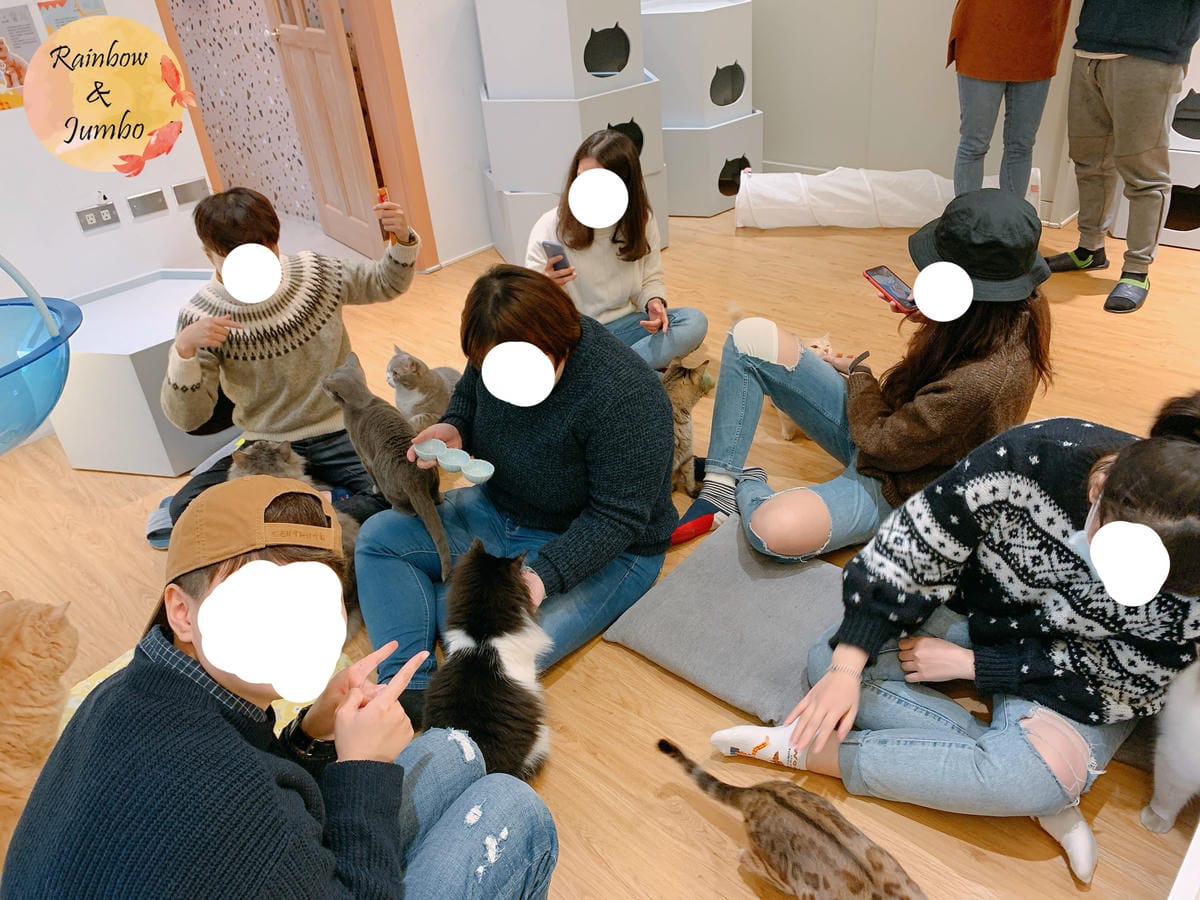 【宜蘭羅東|羅東景點】貓的生活提案咖啡廳Cats' Day, 【宜蘭羅東|羅東景點】貓的生活提案咖啡廳Cats' Day,
