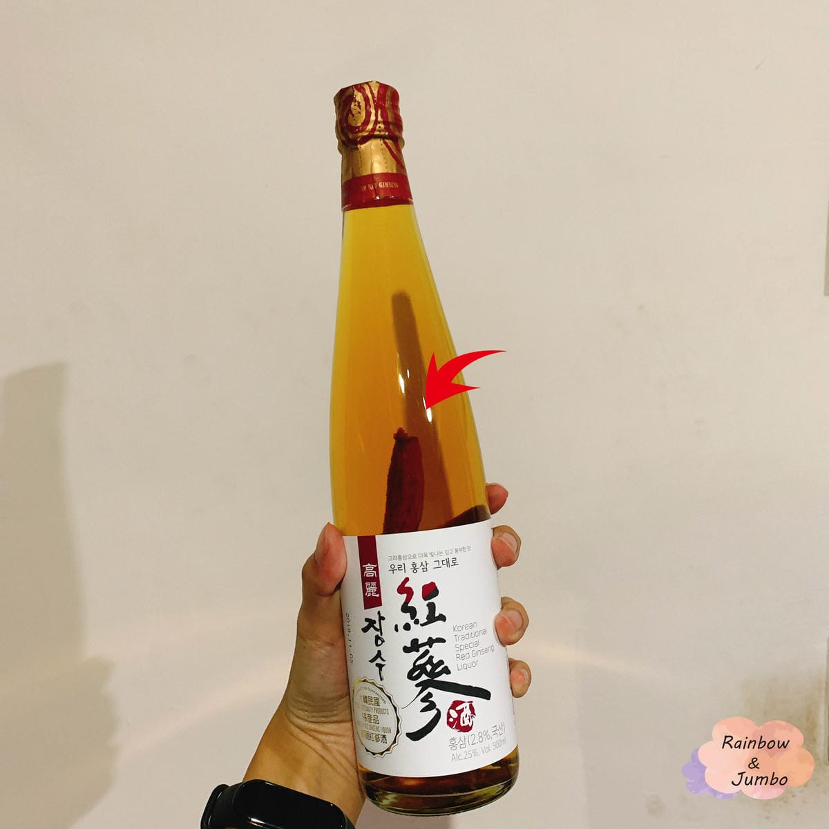 2019 Jumbo韓國首爾冬季自由行|今年買哪些伴手禮呢? 2019 Jumbo韓國首爾冬季自由行|今年買哪些伴手禮呢?