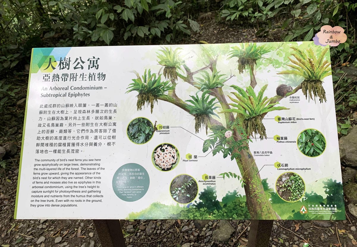 【宜蘭旅遊|宜蘭礁溪】林美石磐步道|宜蘭礁溪輕鬆等級的美麗親 【宜蘭旅遊|宜蘭礁溪】林美石磐步道|宜蘭礁溪輕鬆等級的美麗親