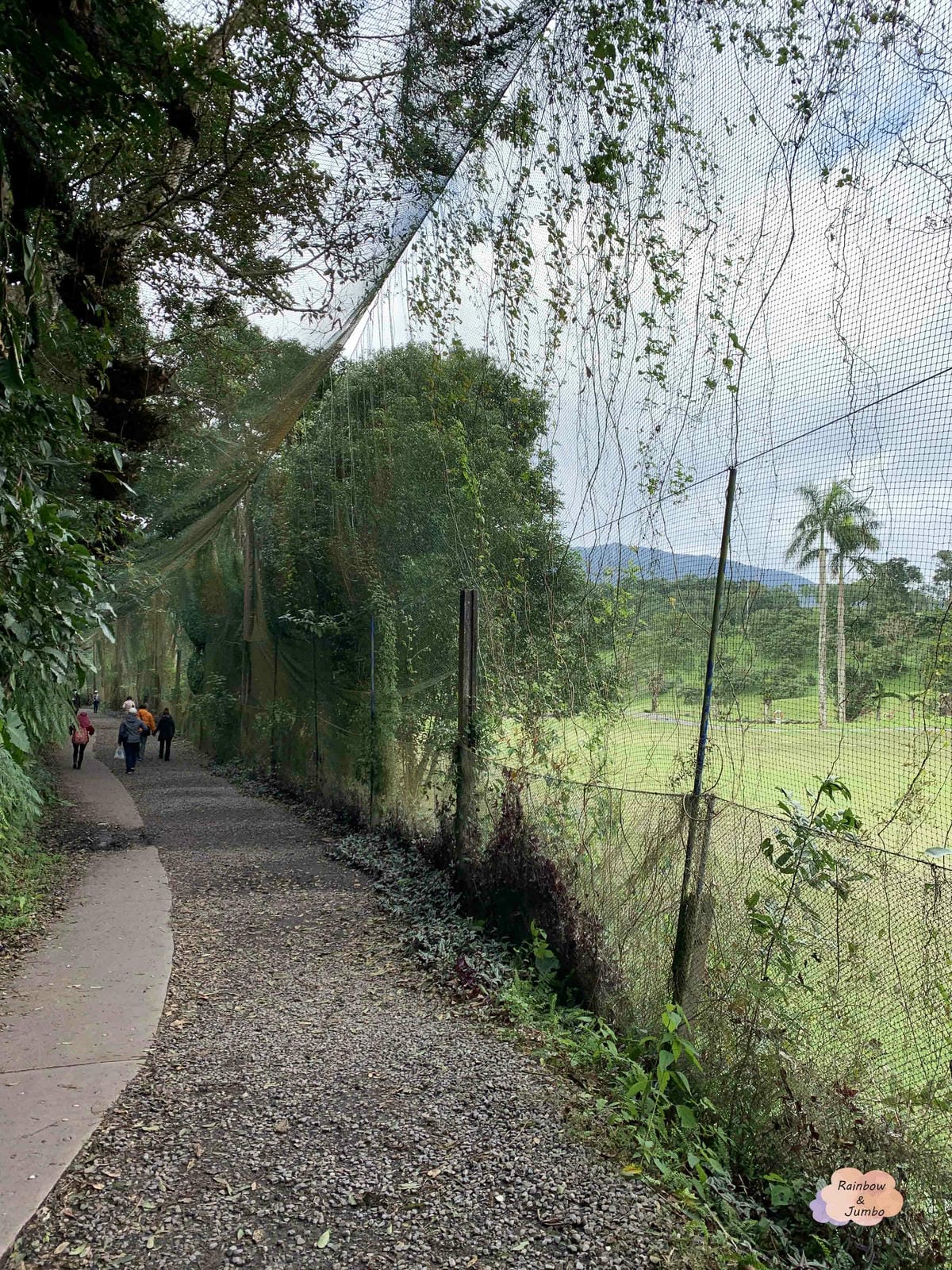 【宜蘭旅遊|宜蘭礁溪】林美石磐步道|宜蘭礁溪輕鬆等級的美麗親 【宜蘭旅遊|宜蘭礁溪】林美石磐步道|宜蘭礁溪輕鬆等級的美麗親