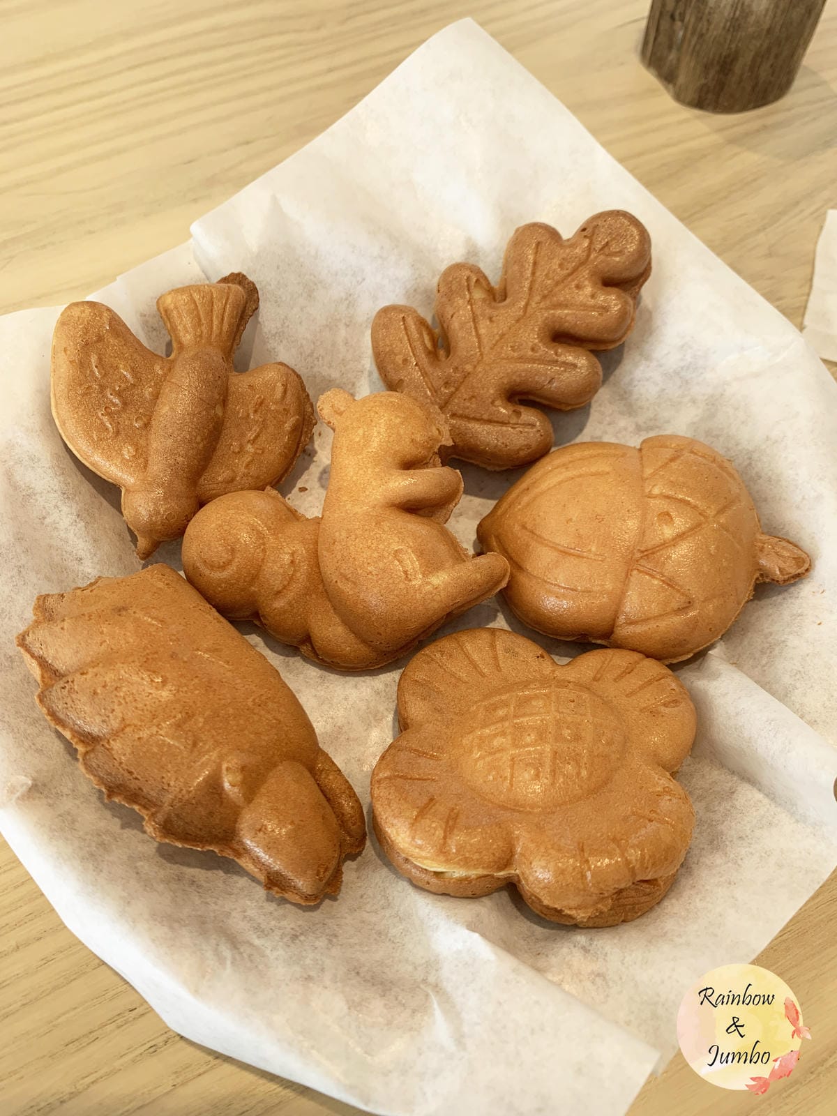 【不專業食記】新竹東區|新竹市立動物園及森林食堂/森林野餐, 【不專業食記】新竹東區|新竹市立動物園及森林食堂/森林野餐,