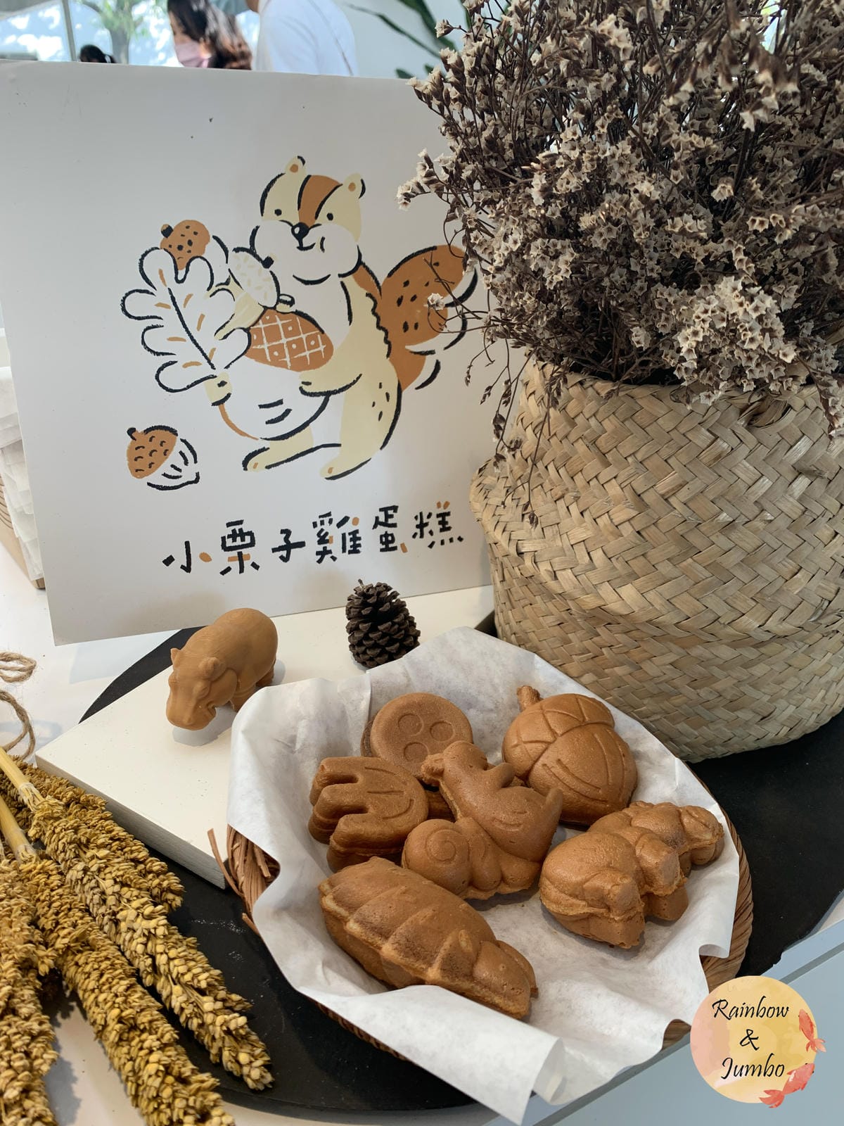 【不專業食記】新竹東區|新竹市立動物園及森林食堂/森林野餐, 【不專業食記】新竹東區|新竹市立動物園及森林食堂/森林野餐,
