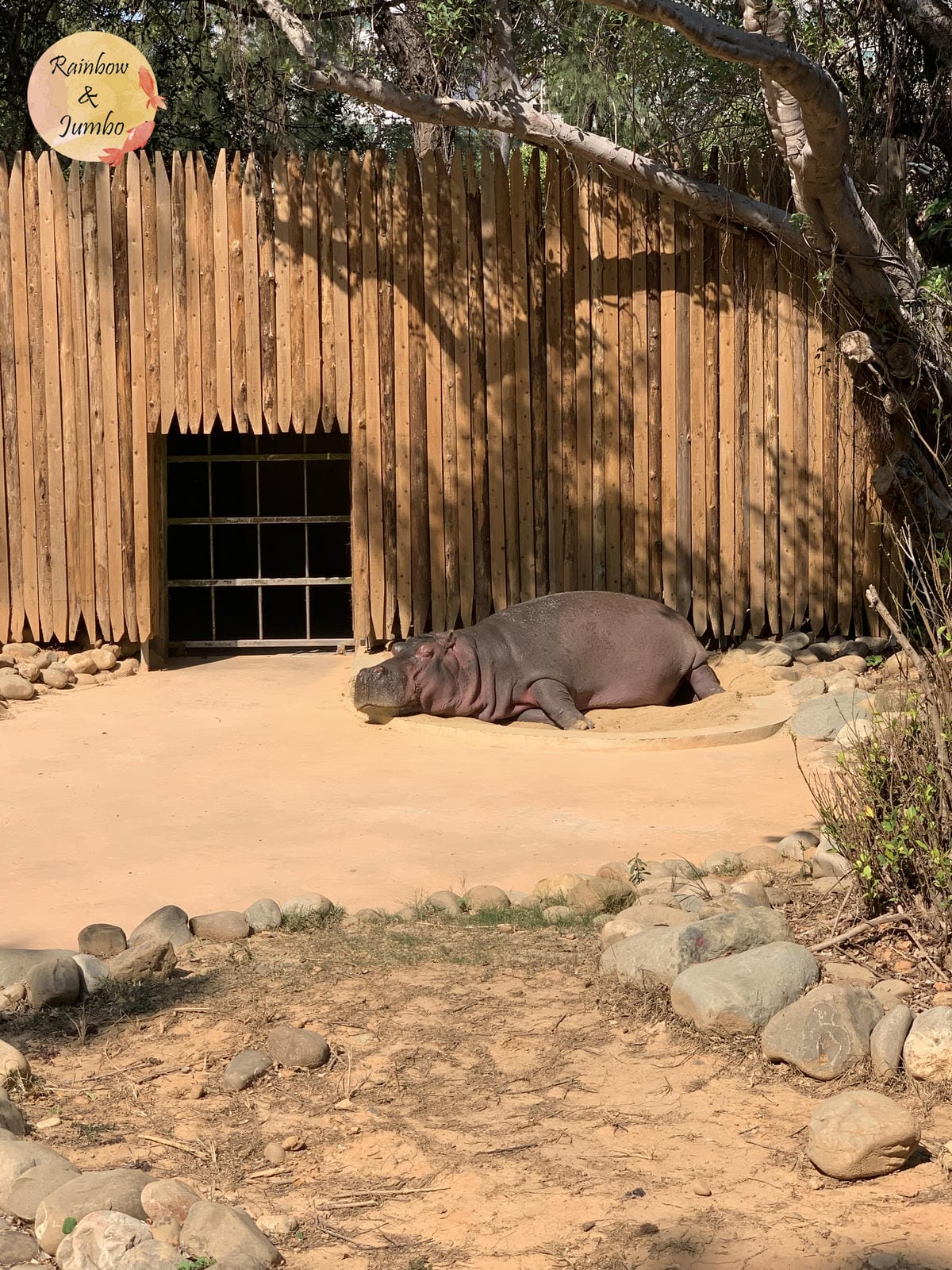 【不專業食記】新竹東區|新竹市立動物園及森林食堂/森林野餐, 【不專業食記】新竹東區|新竹市立動物園及森林食堂/森林野餐,