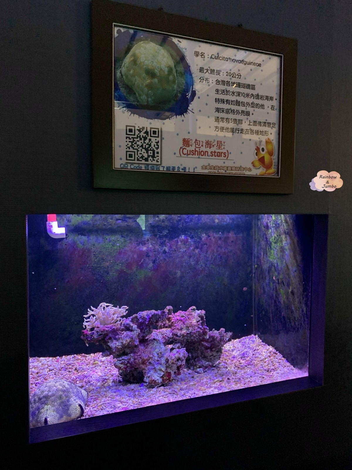 【宜蘭旅遊|宜蘭礁溪】金車水產養殖研發中心,親子旅遊景點,帶 【宜蘭旅遊|宜蘭礁溪】金車水產養殖研發中心,親子旅遊景點,帶