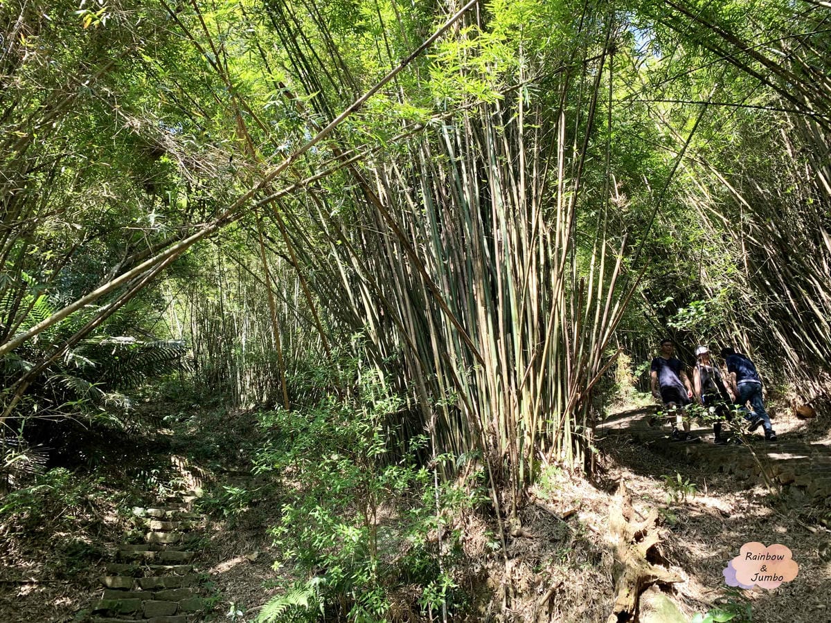 【新北景點|新北八里】觀音山硬漢嶺|肉腳?還是硬漢?北部登山 【新北景點|新北八里】觀音山硬漢嶺|肉腳?還是硬漢?北部登山