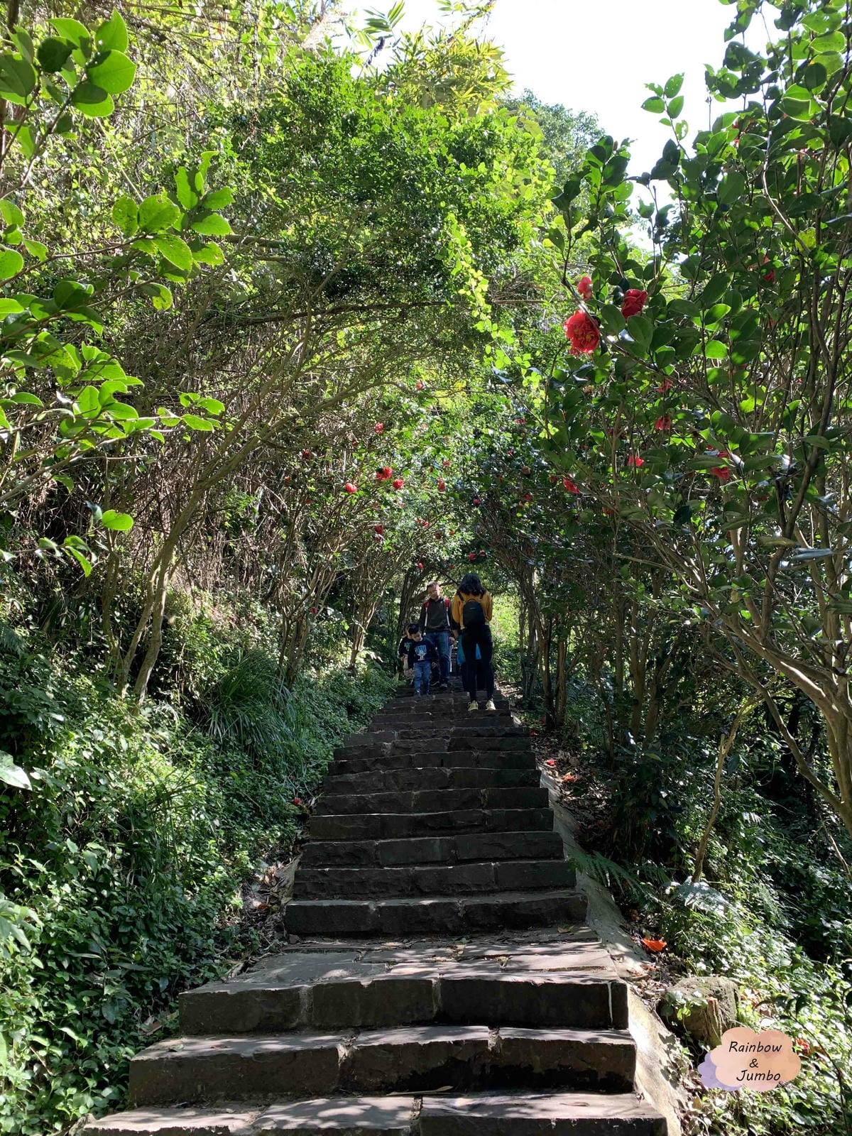 【新北景點|新北八里】觀音山硬漢嶺|肉腳?還是硬漢?北部登山 【新北景點|新北八里】觀音山硬漢嶺|肉腳?還是硬漢?北部登山