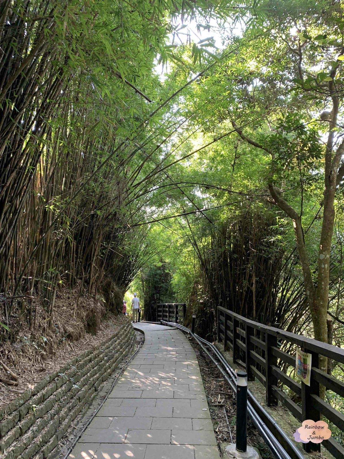 【新北景點|新北八里】觀音山硬漢嶺|肉腳?還是硬漢?北部登山 【新北景點|新北八里】觀音山硬漢嶺|肉腳?還是硬漢?北部登山