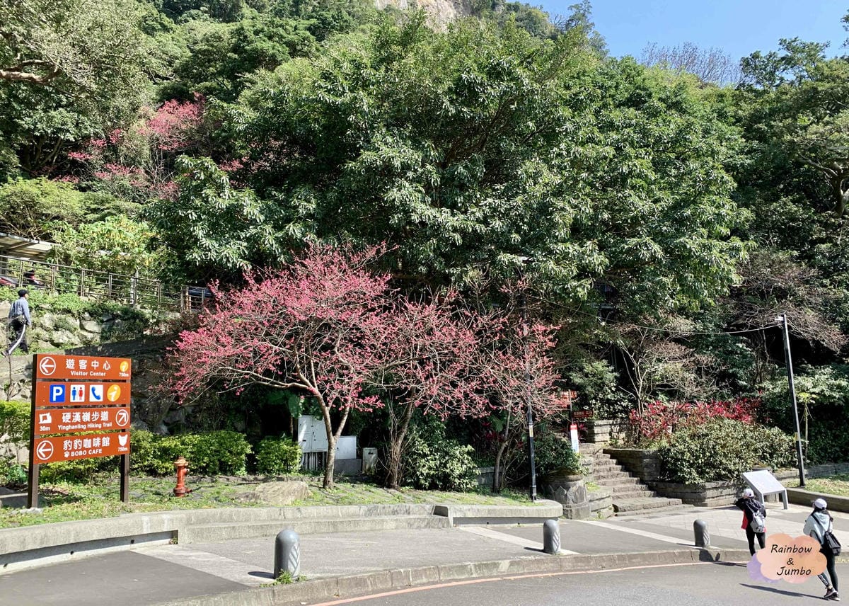 【新北景點|新北八里】觀音山硬漢嶺|肉腳?還是硬漢?北部登山 【新北景點|新北八里】觀音山硬漢嶺|肉腳?還是硬漢?北部登山