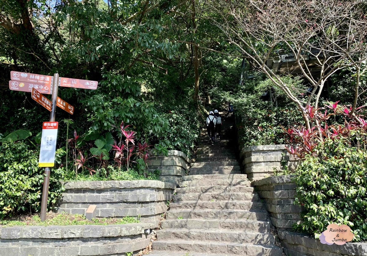 【新北景點|新北八里】觀音山硬漢嶺|肉腳?還是硬漢?北部登山 【新北景點|新北八里】觀音山硬漢嶺|肉腳?還是硬漢?北部登山