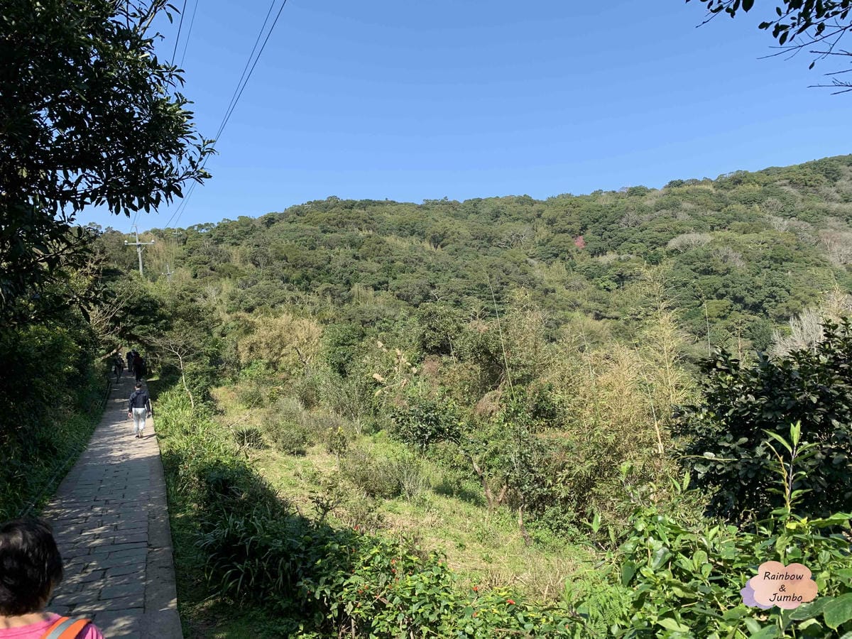 【新北景點|新北八里】觀音山硬漢嶺|肉腳?還是硬漢?北部登山 【新北景點|新北八里】觀音山硬漢嶺|肉腳?還是硬漢?北部登山