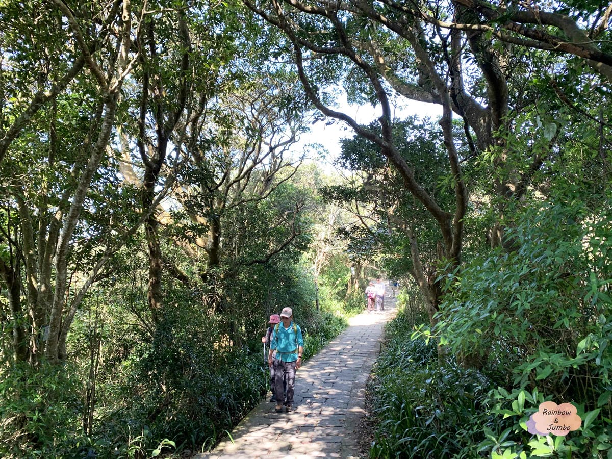 【新北景點|新北八里】觀音山硬漢嶺|肉腳?還是硬漢?北部登山 【新北景點|新北八里】觀音山硬漢嶺|肉腳?還是硬漢?北部登山
