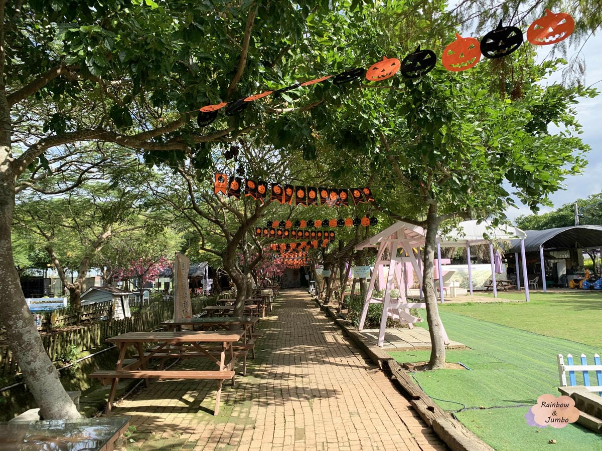 【桃園旅遊|桃園觀音】向陽農場|親子旅遊好地點,打卡向日葵花 【桃園旅遊|桃園觀音】向陽農場|親子旅遊好地點,打卡向日葵花