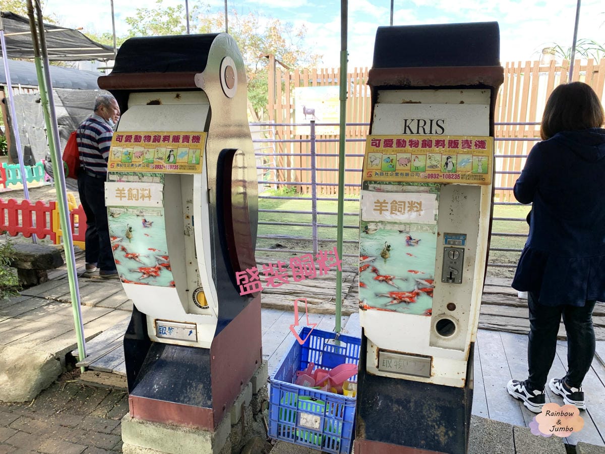 【桃園旅遊|桃園觀音】向陽農場|親子旅遊好地點,打卡向日葵花 【桃園旅遊|桃園觀音】向陽農場|親子旅遊好地點,打卡向日葵花