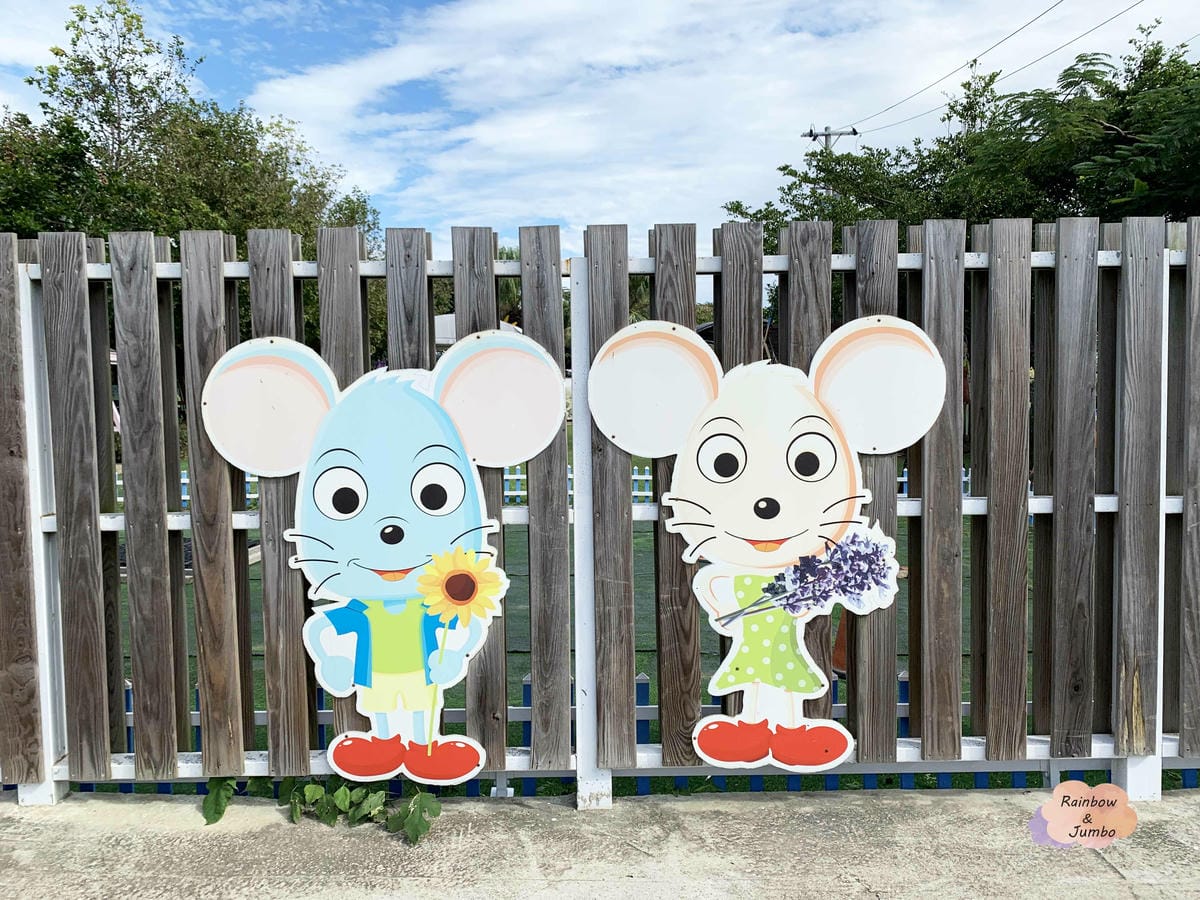【桃園旅遊|桃園觀音】向陽農場|親子旅遊好地點,打卡向日葵花 【桃園旅遊|桃園觀音】向陽農場|親子旅遊好地點,打卡向日葵花