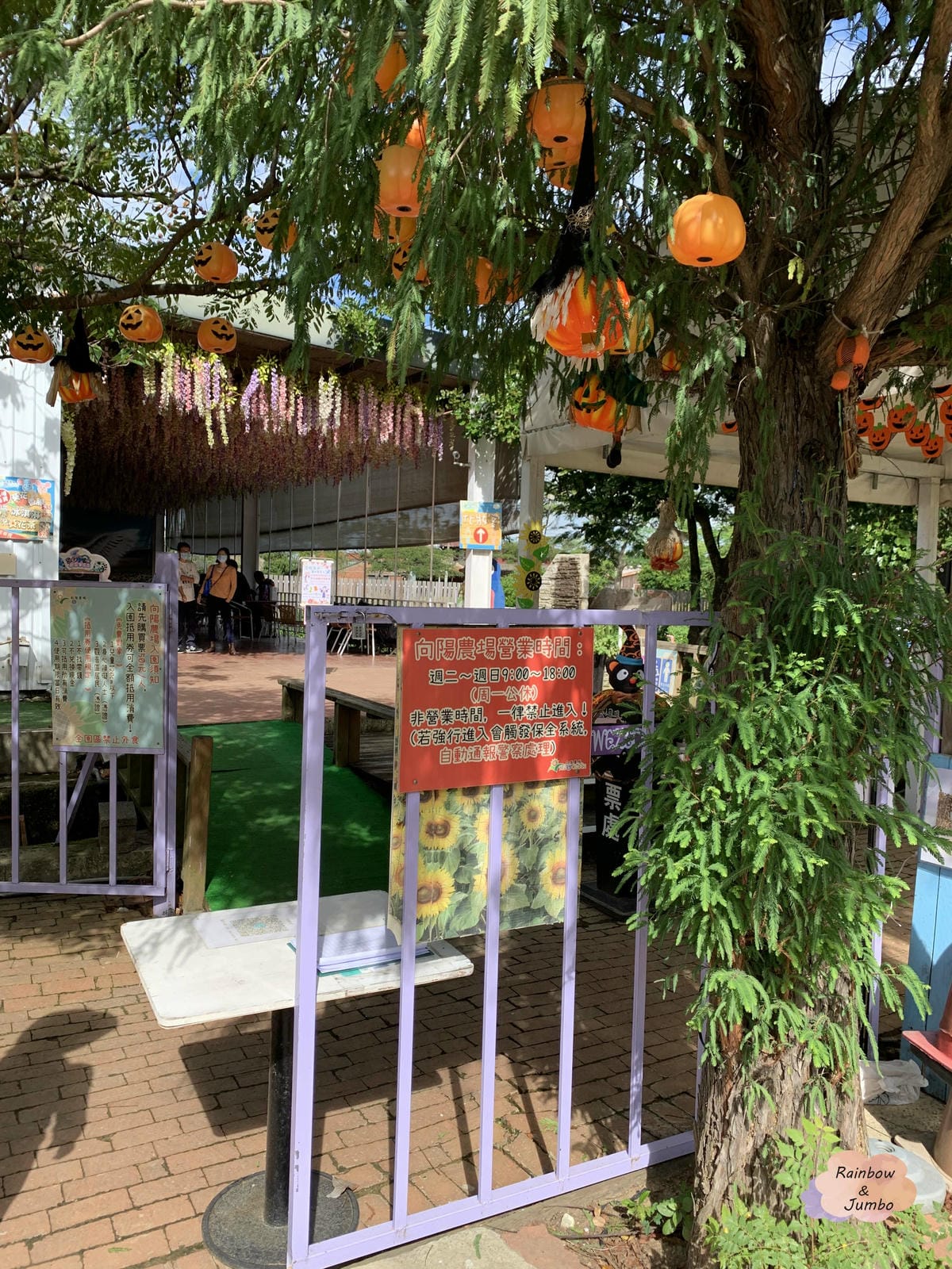 【桃園旅遊|桃園觀音】向陽農場|親子旅遊好地點,打卡向日葵花 【桃園旅遊|桃園觀音】向陽農場|親子旅遊好地點,打卡向日葵花