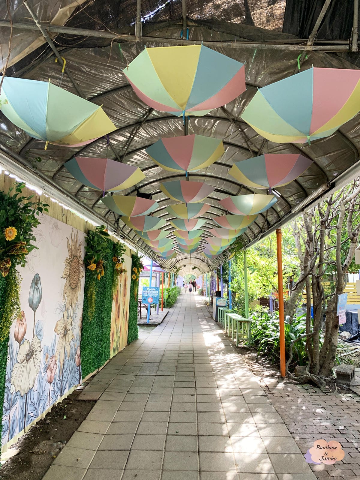【桃園旅遊|桃園觀音】向陽農場|親子旅遊好地點,打卡向日葵花 【桃園旅遊|桃園觀音】向陽農場|親子旅遊好地點,打卡向日葵花