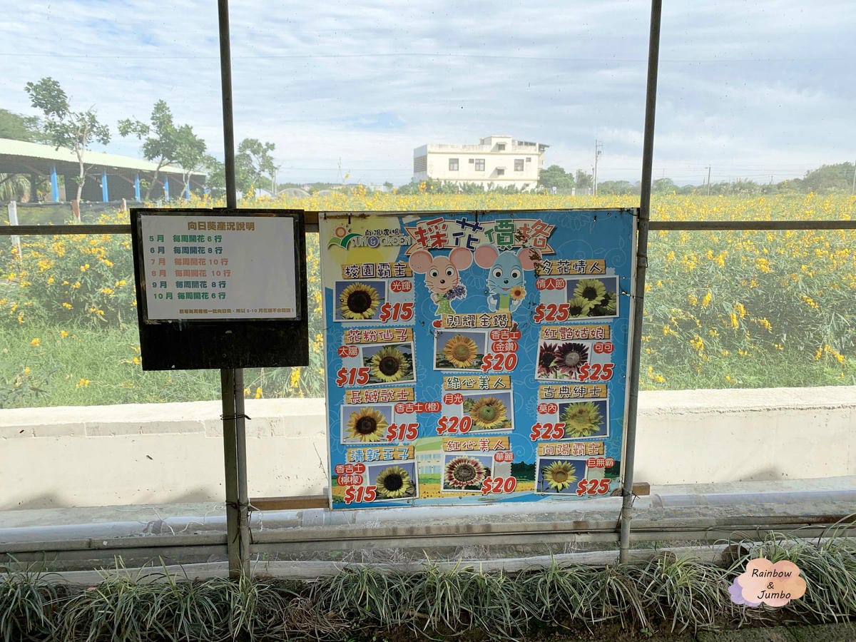 【桃園旅遊|桃園觀音】向陽農場|親子旅遊好地點,打卡向日葵花 【桃園旅遊|桃園觀音】向陽農場|親子旅遊好地點,打卡向日葵花