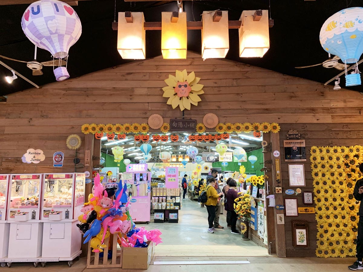 【桃園旅遊|桃園觀音】向陽農場|親子旅遊好地點,打卡向日葵花 【桃園旅遊|桃園觀音】向陽農場|親子旅遊好地點,打卡向日葵花