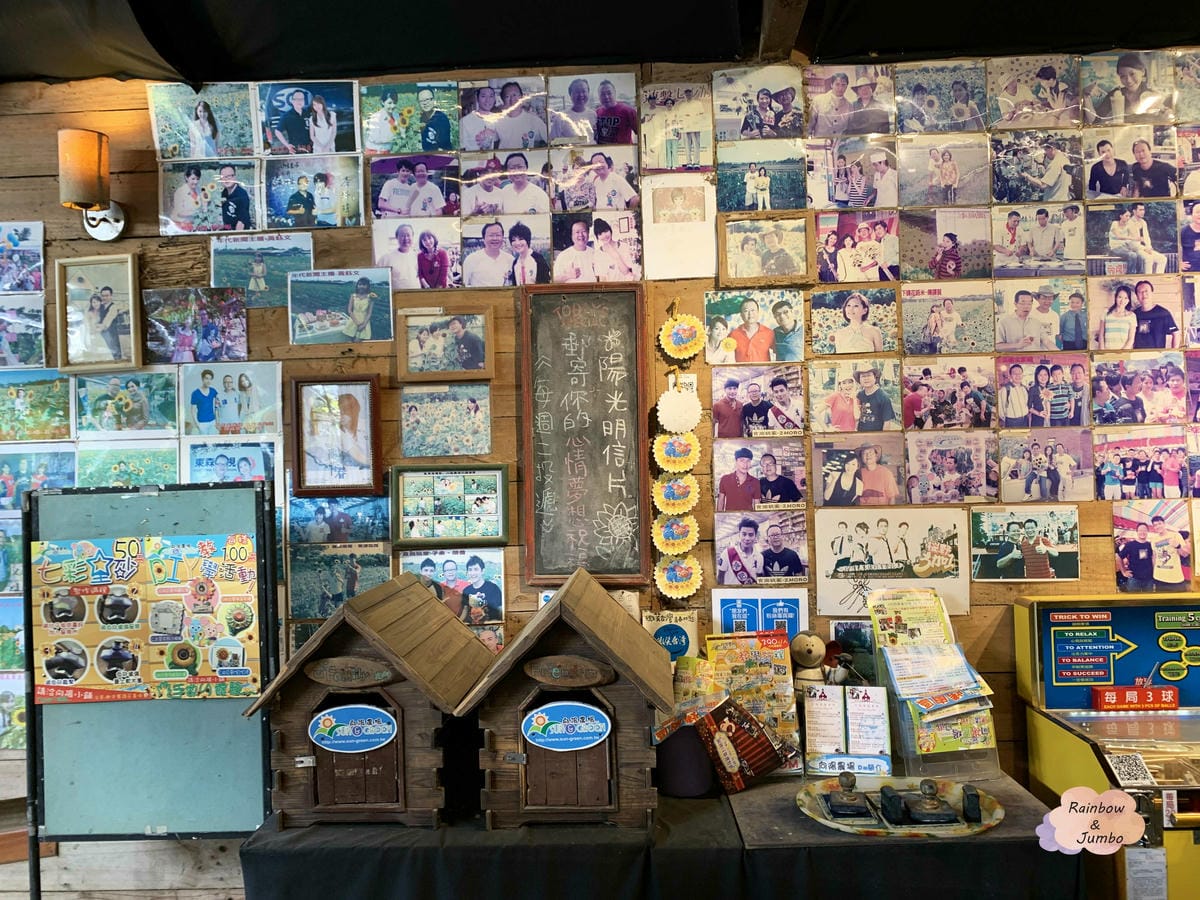 【桃園旅遊|桃園觀音】向陽農場|親子旅遊好地點,打卡向日葵花 【桃園旅遊|桃園觀音】向陽農場|親子旅遊好地點,打卡向日葵花