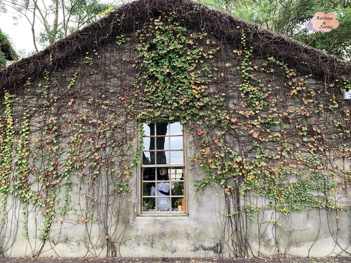 【花蓮旅遊｜花蓮景點】花蓮日式老建築極佳海景位~松園別館｜花