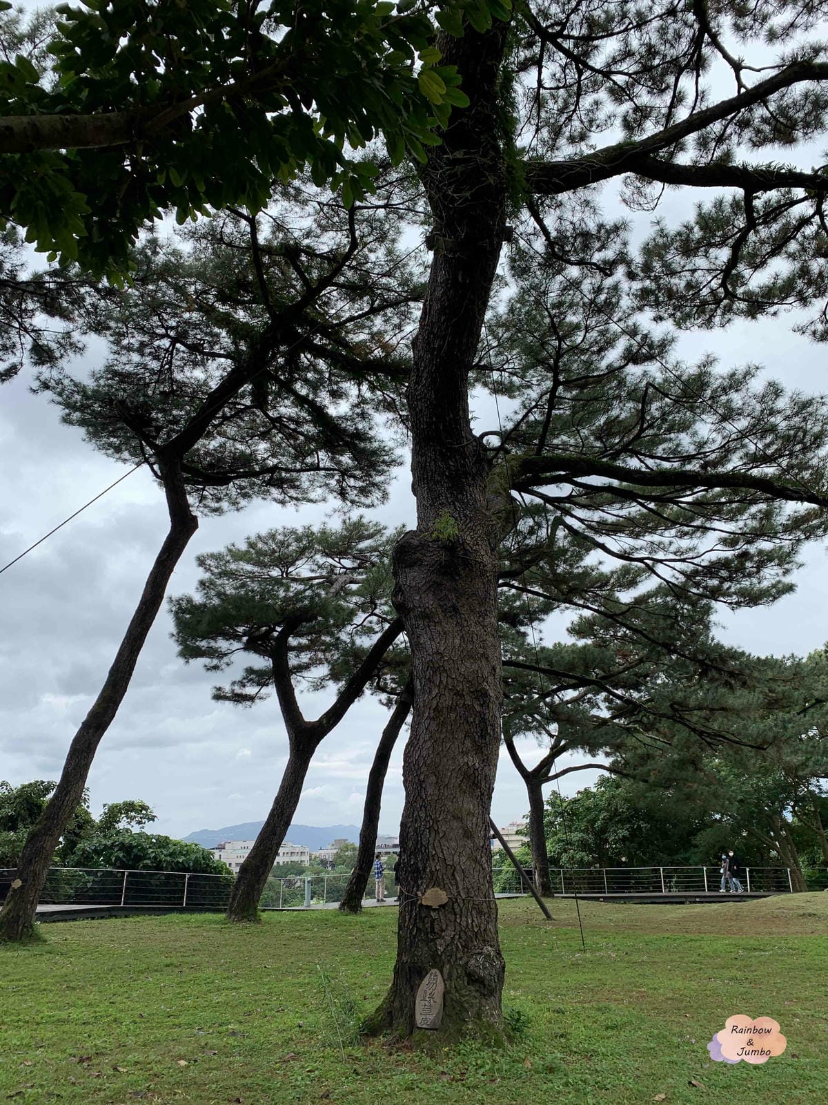 【花蓮旅遊｜花蓮景點】花蓮日式老建築極佳海景位~松園別館｜花