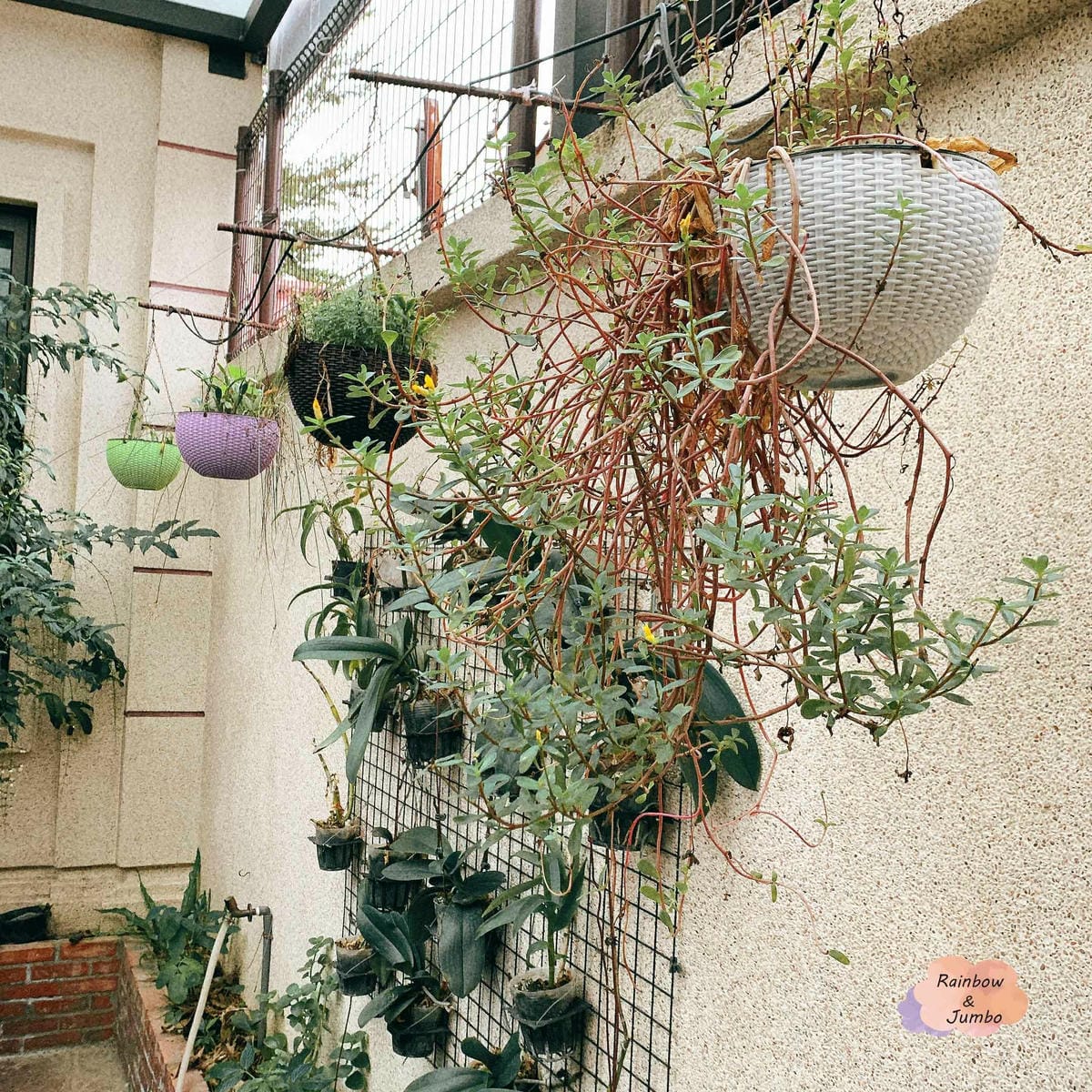 【花蓮吉安|花蓮住宿】察理之家民宿Charlie's Hom 【花蓮吉安|花蓮住宿】察理之家民宿Charlie's Hom