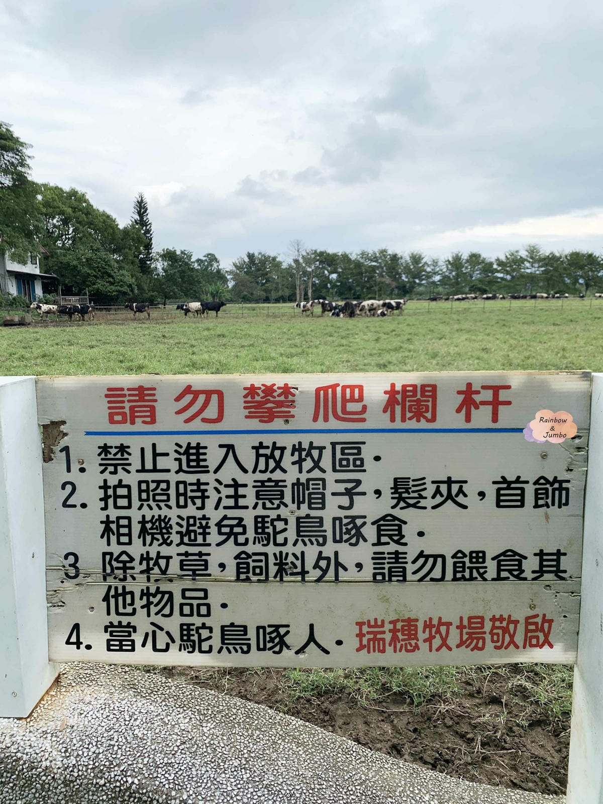 【花蓮瑞穗|花蓮景點】花蓮牛奶好喝、甜點好吃的觀光牧場「瑞穗 【花蓮瑞穗|花蓮景點】花蓮牛奶好喝、甜點好吃的觀光牧場「瑞穗