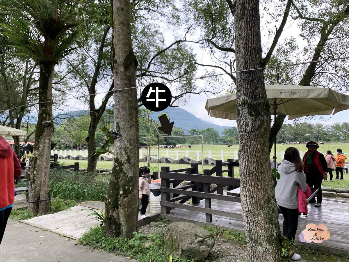 【花蓮瑞穗|花蓮景點】花蓮牛奶好喝、甜點好吃的觀光牧場「瑞穗 【花蓮瑞穗|花蓮景點】花蓮牛奶好喝、甜點好吃的觀光牧場「瑞穗