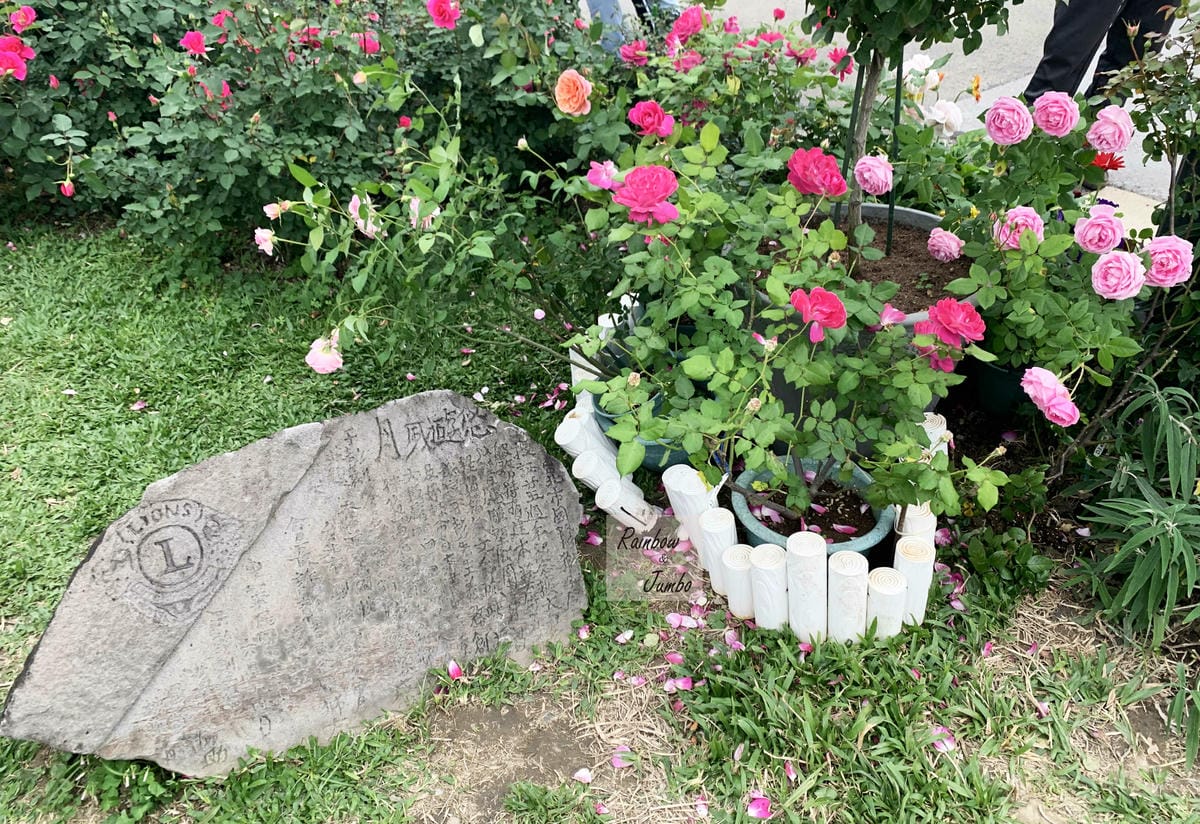 【台北中山|台北景點】花博新生園區台北玫瑰園~2022台北玫 【台北中山|台北景點】花博新生園區台北玫瑰園~2022台北玫